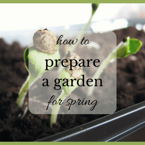 How to Prepare a Garden for Spring | Easy Tips – Sweet Bacon & Pecans