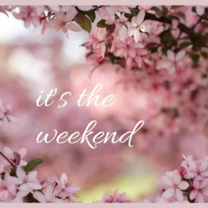 Image of pink cherry blossoms and text that reads it's the weekend. 
